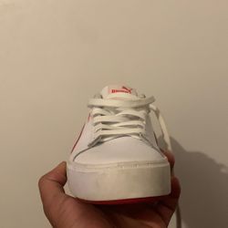 pumas