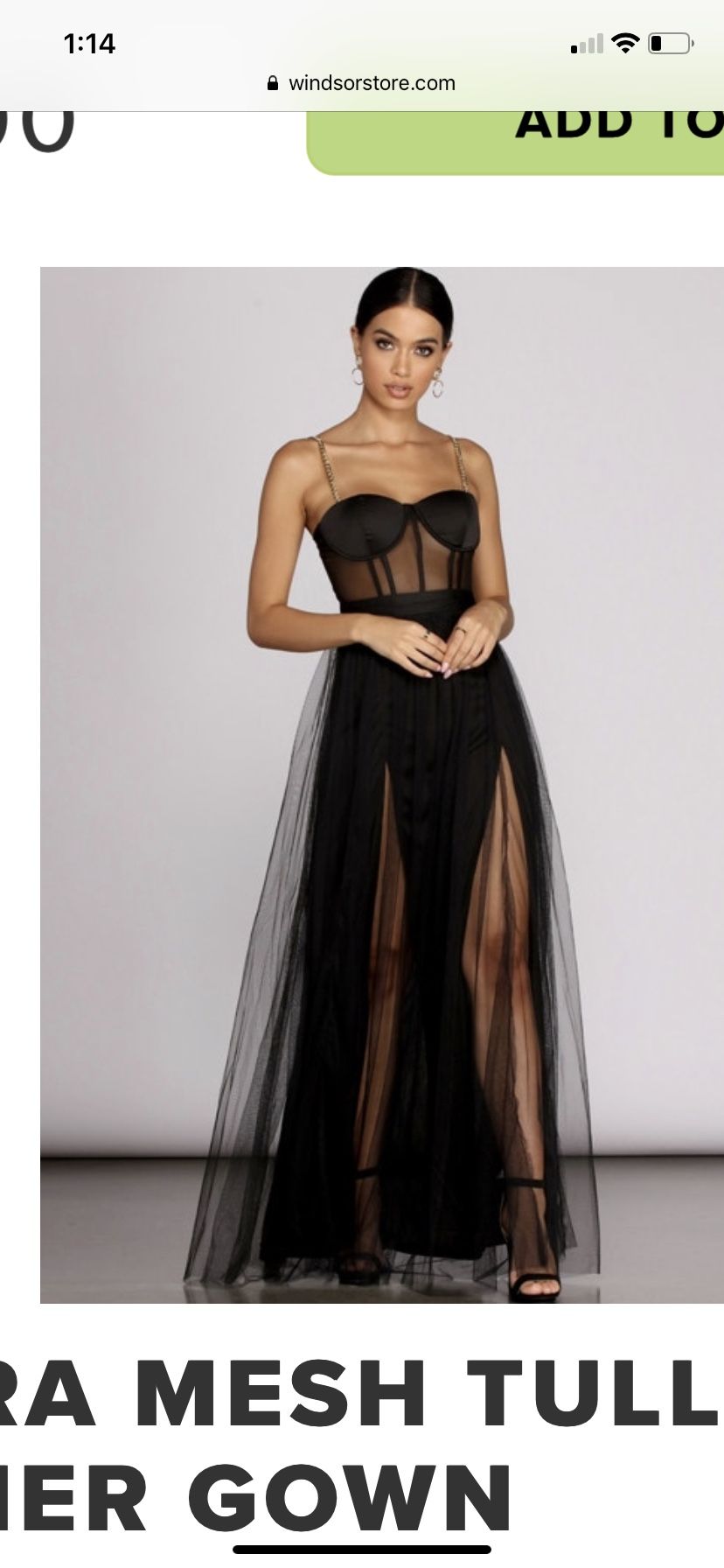 Cintra Mesh Tulle Bustier Gown