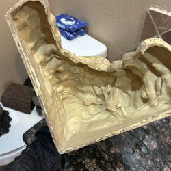 Lizard Or Snake Hideout