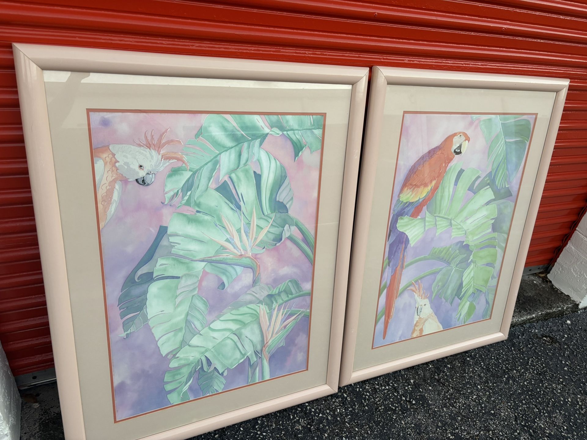 2 Vintage Parrot Prints 34 X 43.5