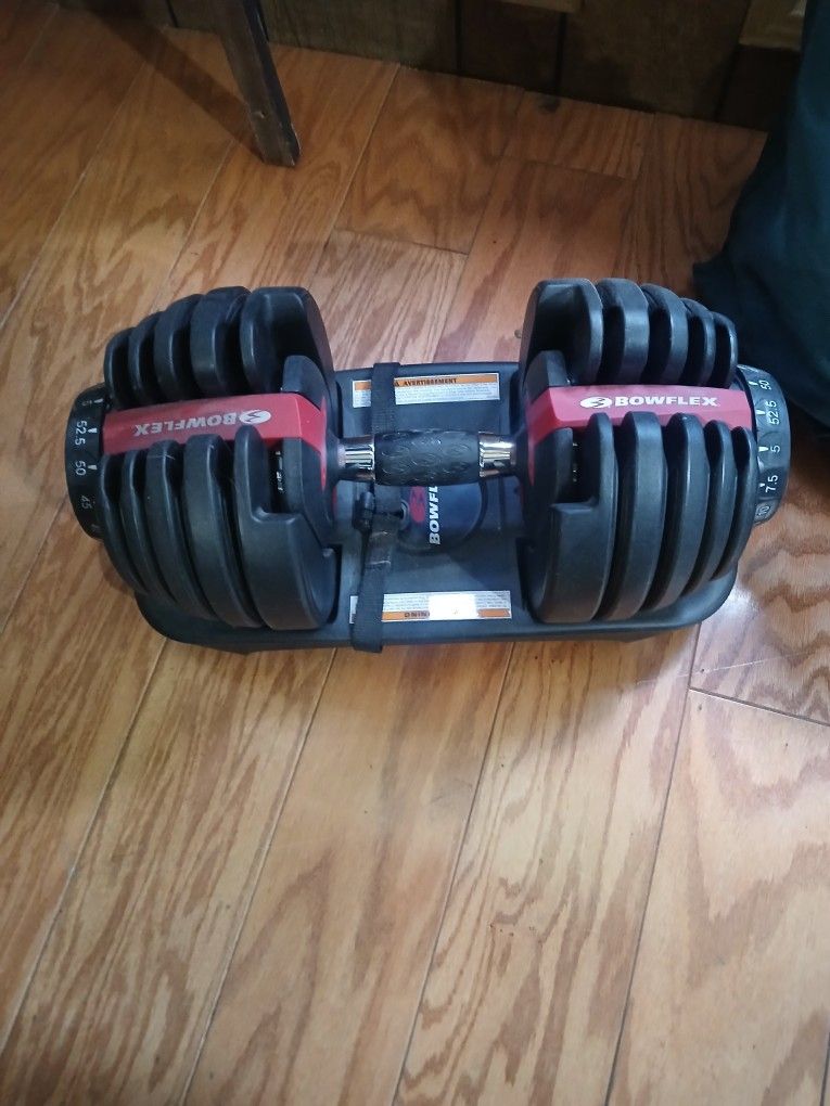 Bowflex 552 Dumbell