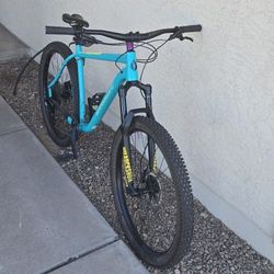 Salsa Timbejack XL frame Mountain Bike 