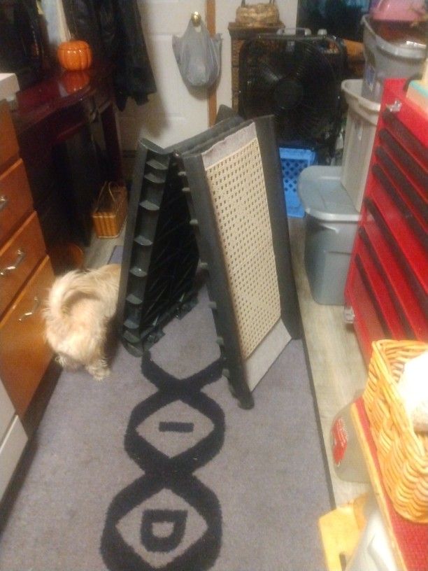 Dog Ramp