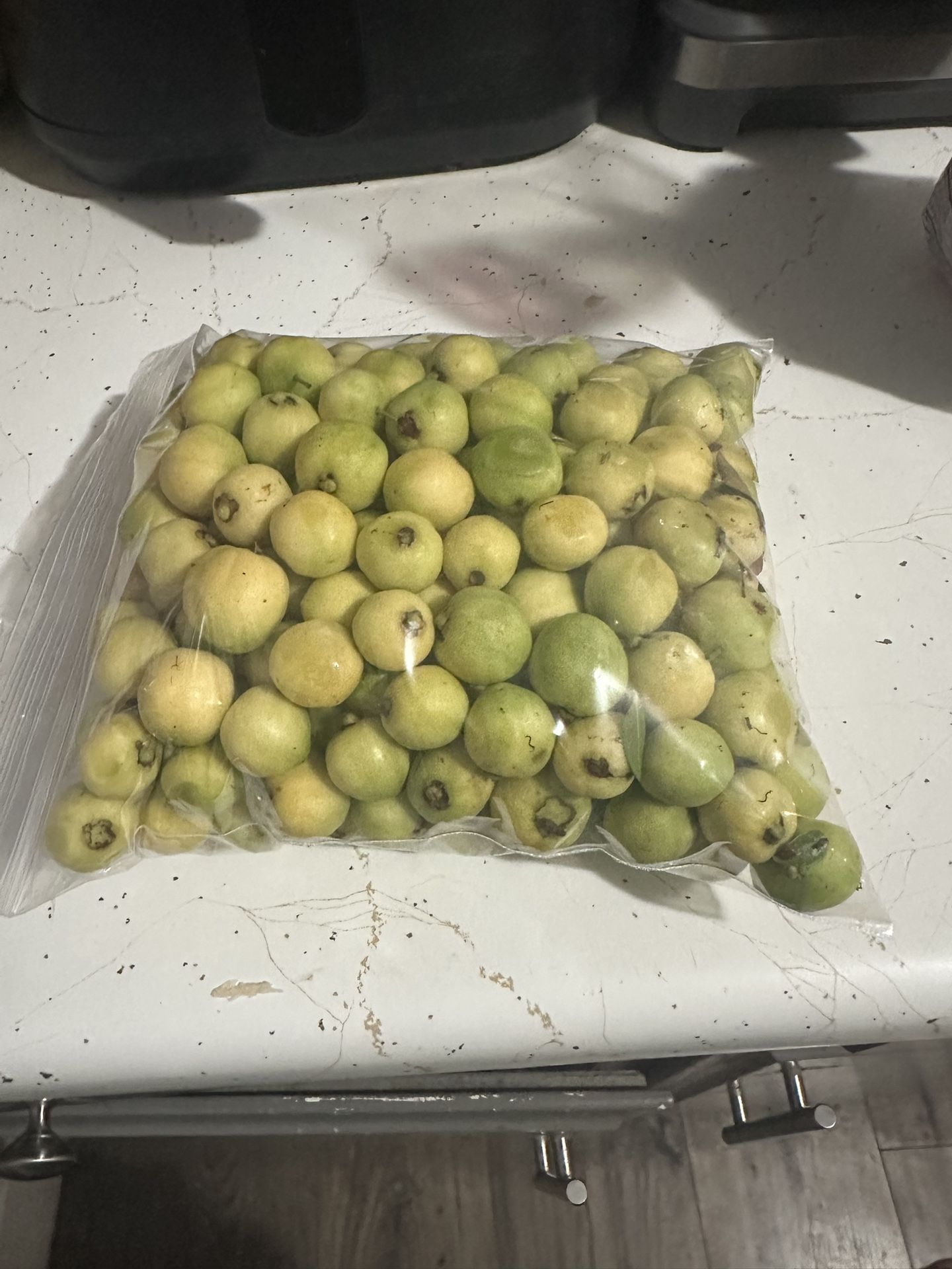 Los Primeros Arrayanes de esta Temporada