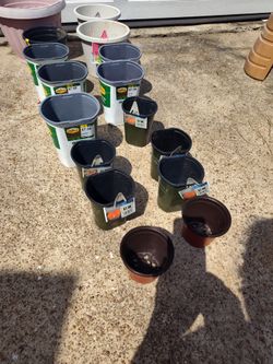 Lot of Empty Plastic Plant Nursery Pots