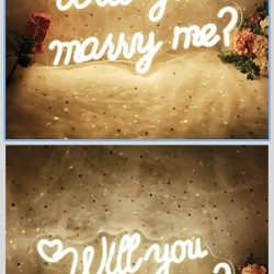 Will You Marry Me Sign USB Powered