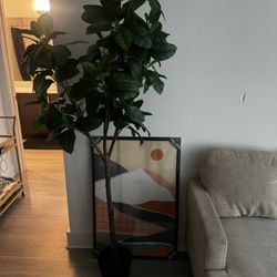 Plant - Bae Cart - Picture Fram 