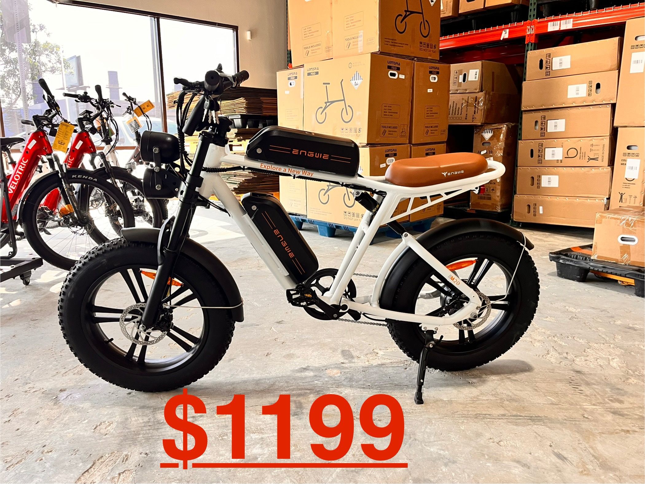 Engwe M20 Dual Batteries E-bike