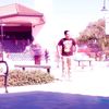 Moises