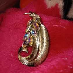 Writers Qiule Feather  Brooch/Pin