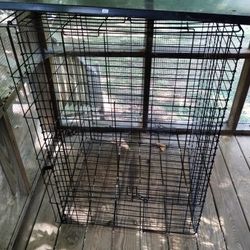 Big Dog Cage