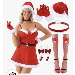 Women’s Santa Costume XL