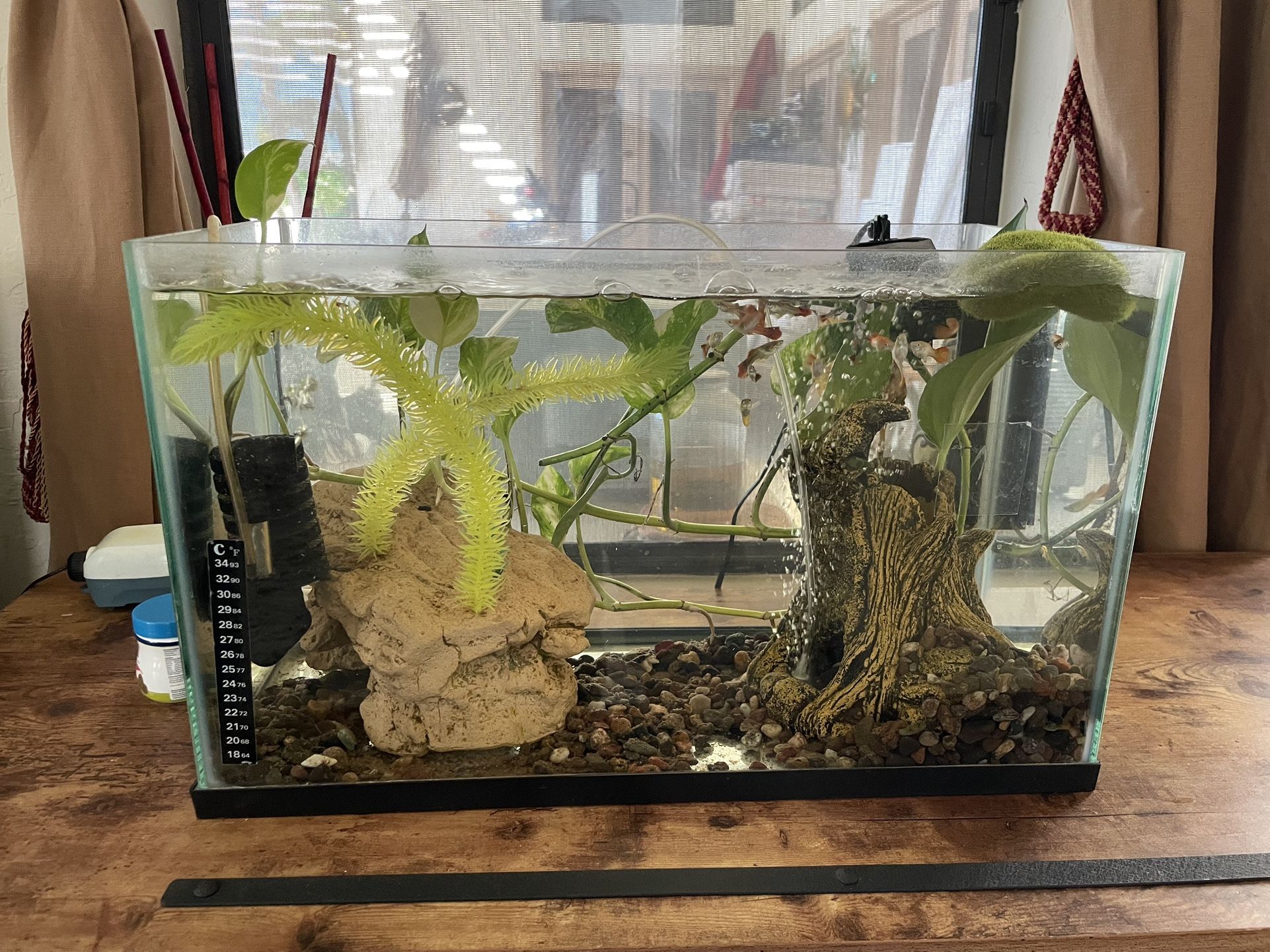 10 Gallons Frameless Tank