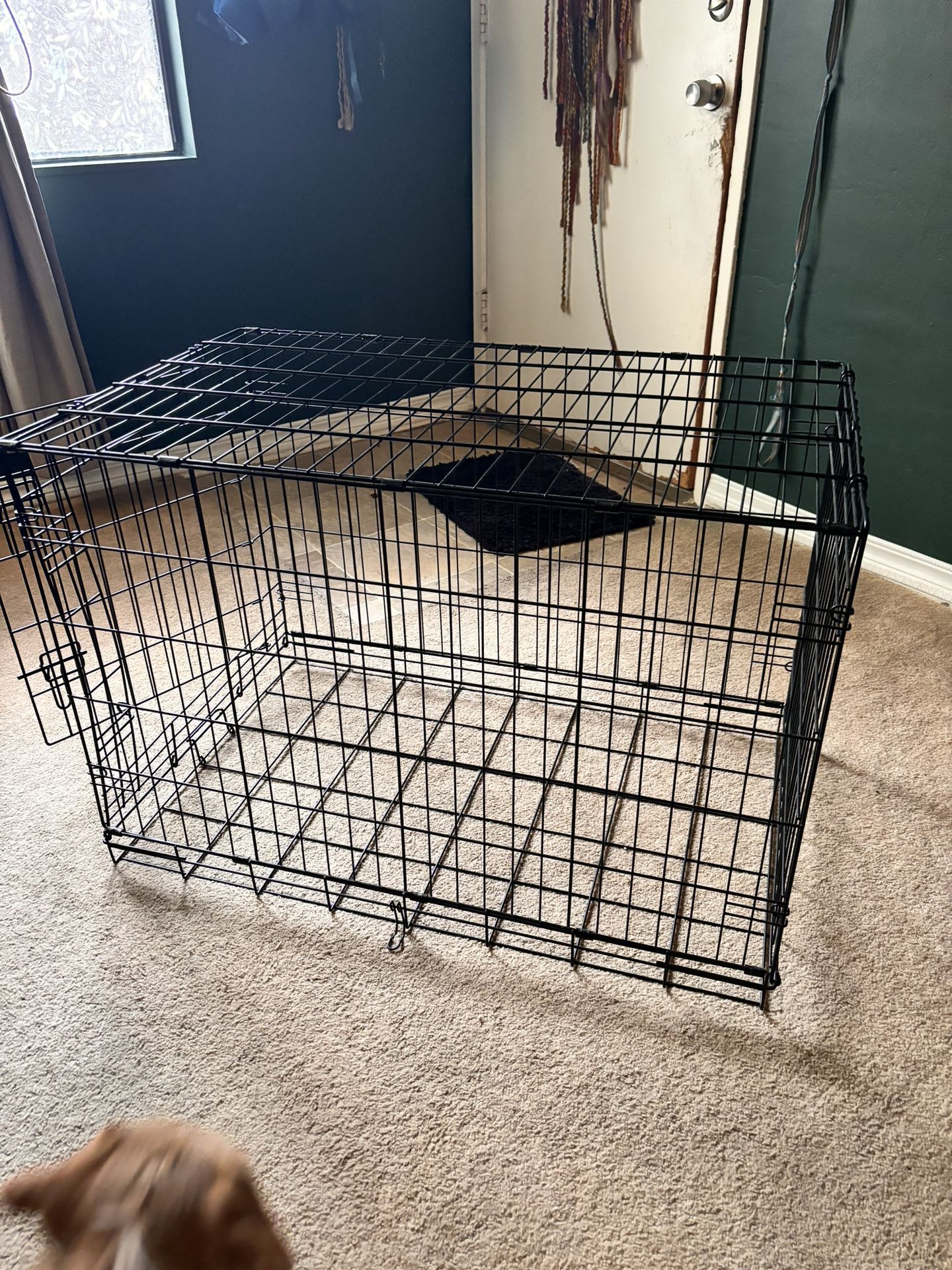 Large dog crate 