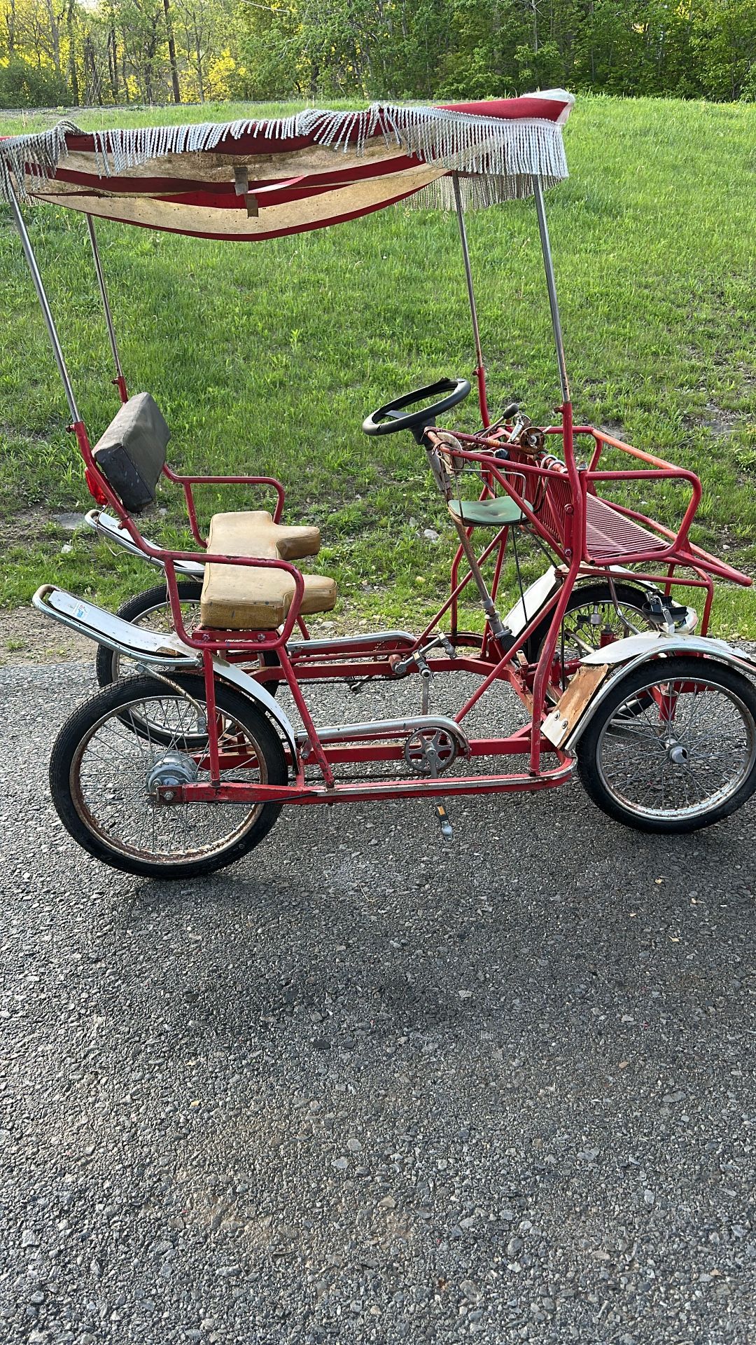 Surrey Deluxe four wheel two pedaler bike