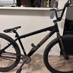 Big Ripper Bike
