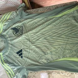 Mexico national team jersey