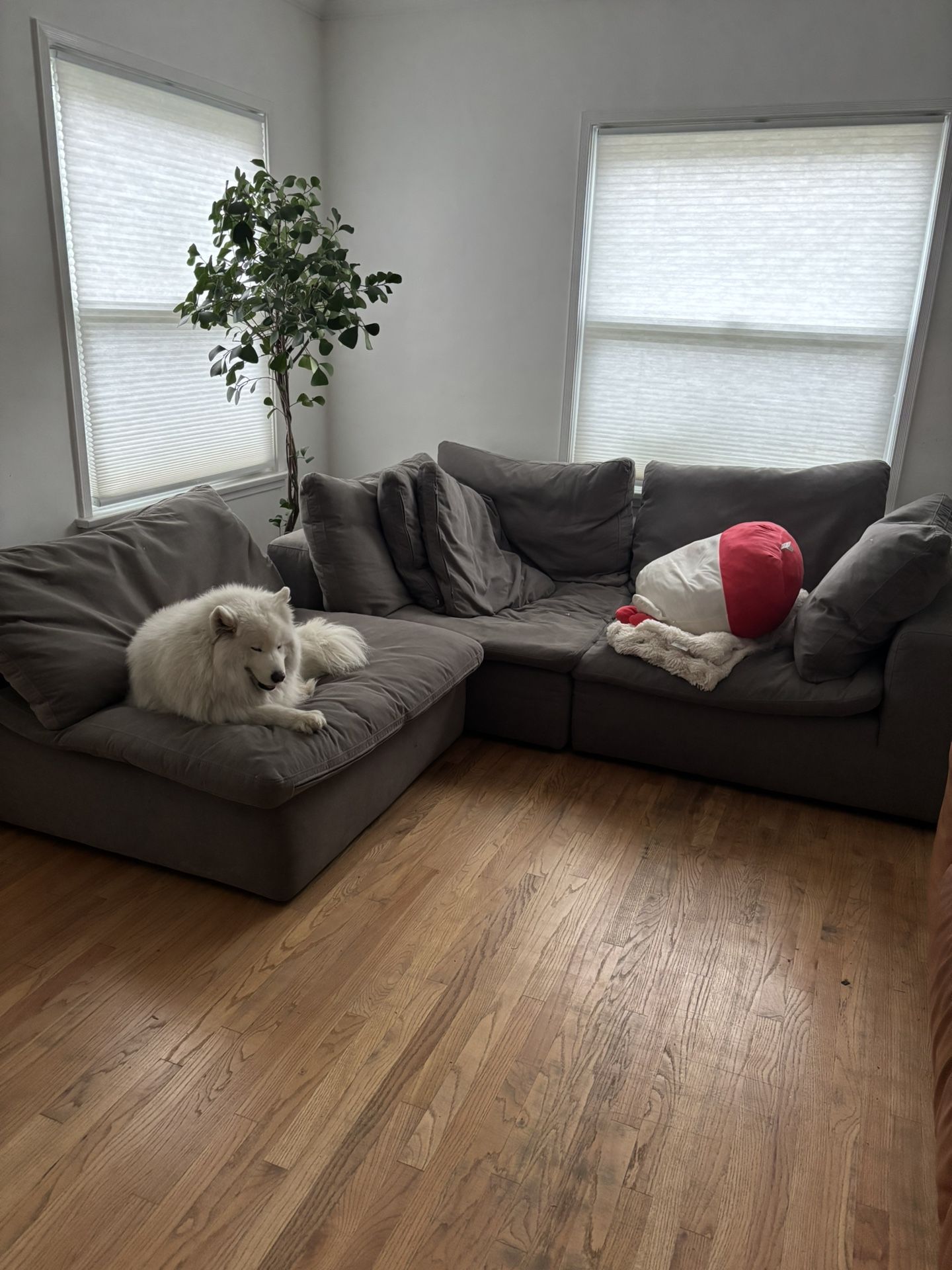 Grey Cloud Couch
