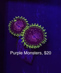 Fake Aquarium Decoration