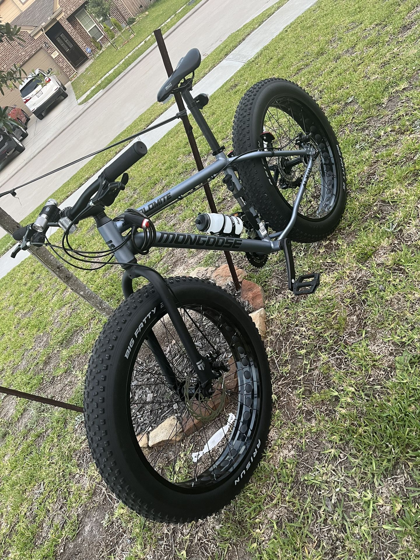 Fat buggs online bike