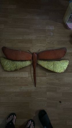 2 wall dragon flies
