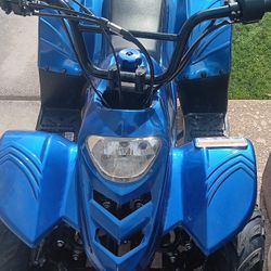 Tao Motor Boulder B1 110cc (ATV). 