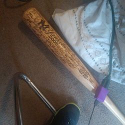 2005 Yankee's Bat