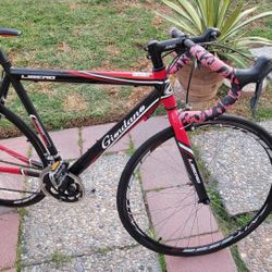 Giordano libero road bike deals