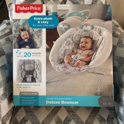 Baby Bounce Chair