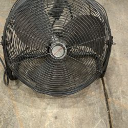 Fan 