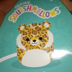 Squishmallow 
