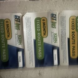 Brand New Bus Pass’s