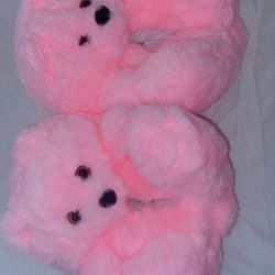Kid Teddy Bear Slipper 6c - 1y 