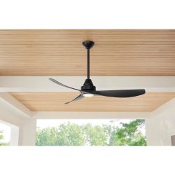 Black ceiling fan