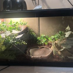 Reptile Tank 🦎