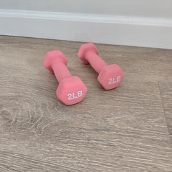 2 lbs pair (set of 2) Amazon Basics Neoprene Dumbbell Hand Weights for Exercise and Muscle Toning