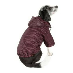 Lightweight Sporty Avalanche Dog Coat