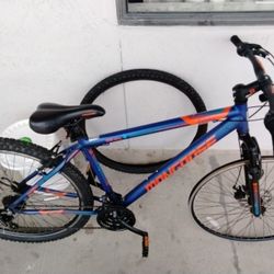 Adult Mongoose Men's Mountain Bike 