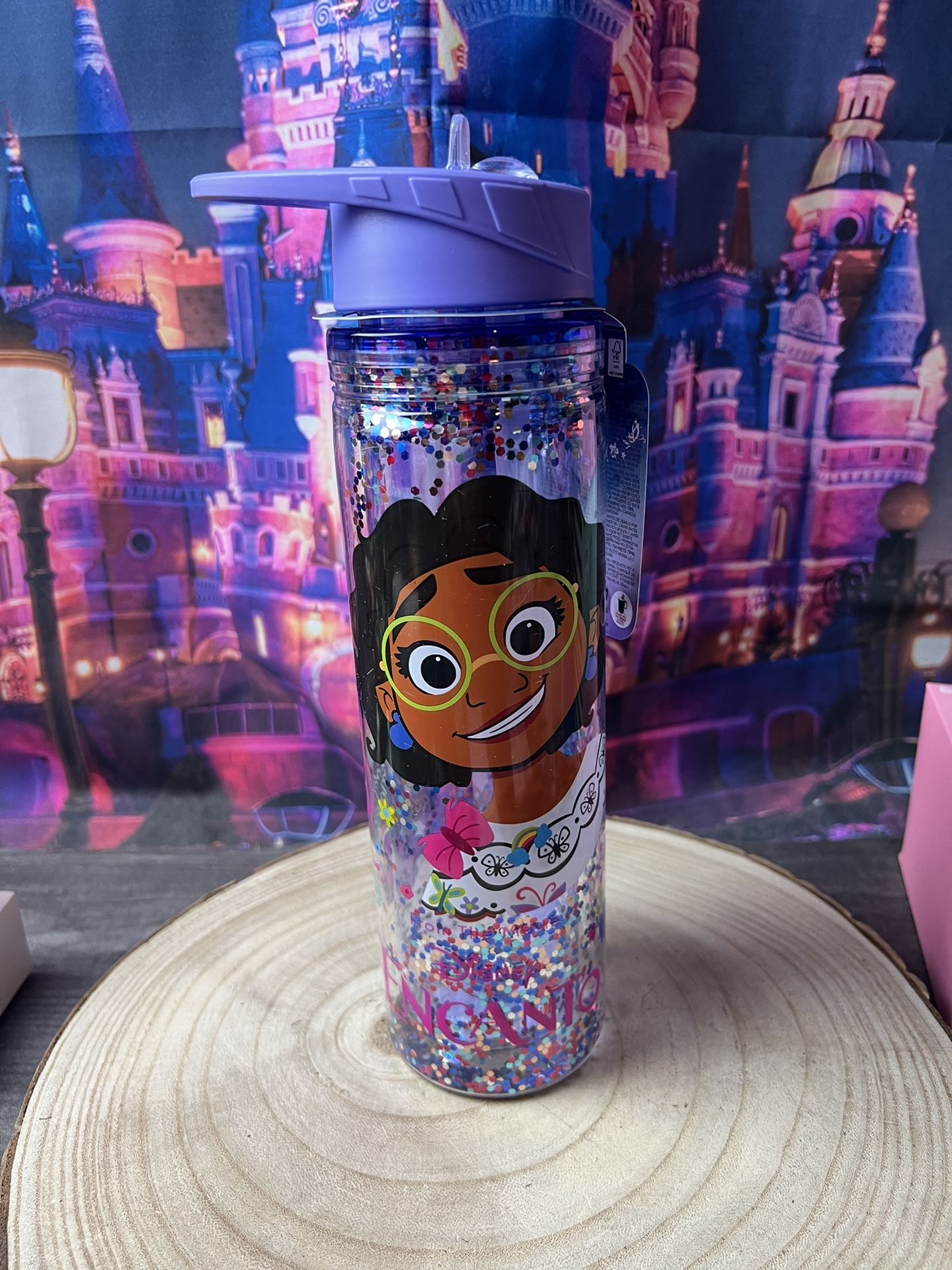 ©Disney Encanto Glitter Water Bottle – Pink