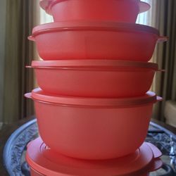 Tupperware Plates and Bowl Set