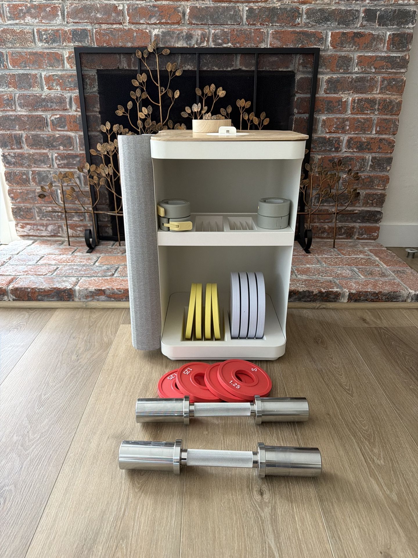 Tempo Move Home Gym (Full Starter Bundle w/ Weights + Bar) – Excellent Condition
