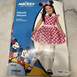 Minnie Mouse Costume, 3t-4t, Toddler Halloween Costume 
