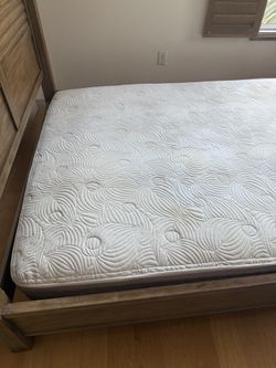 Eco Terra Hybrid Organic Latex Mattress Queen And Box Spring