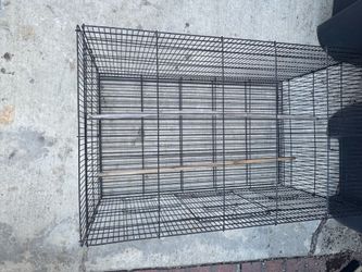 Bird cage