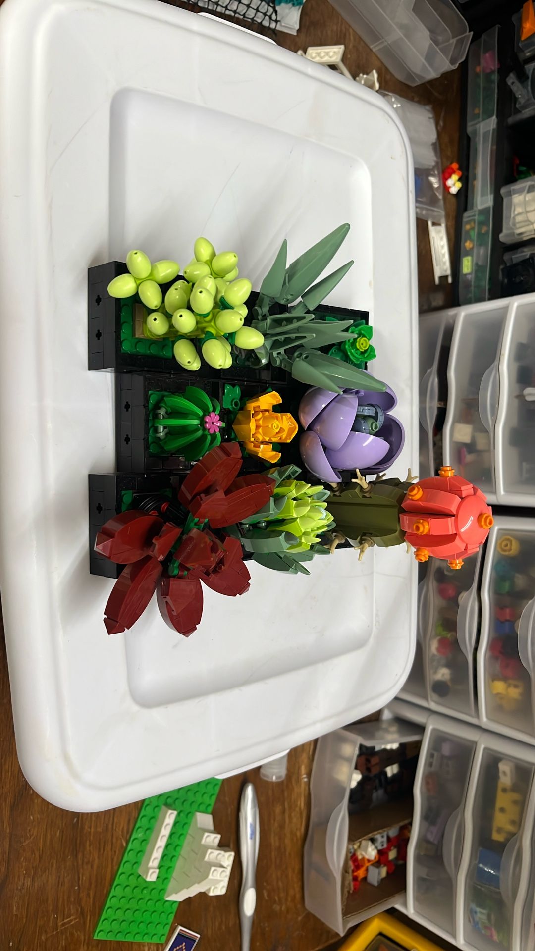 Lego Succulents Plant and Flowers Set (10309)