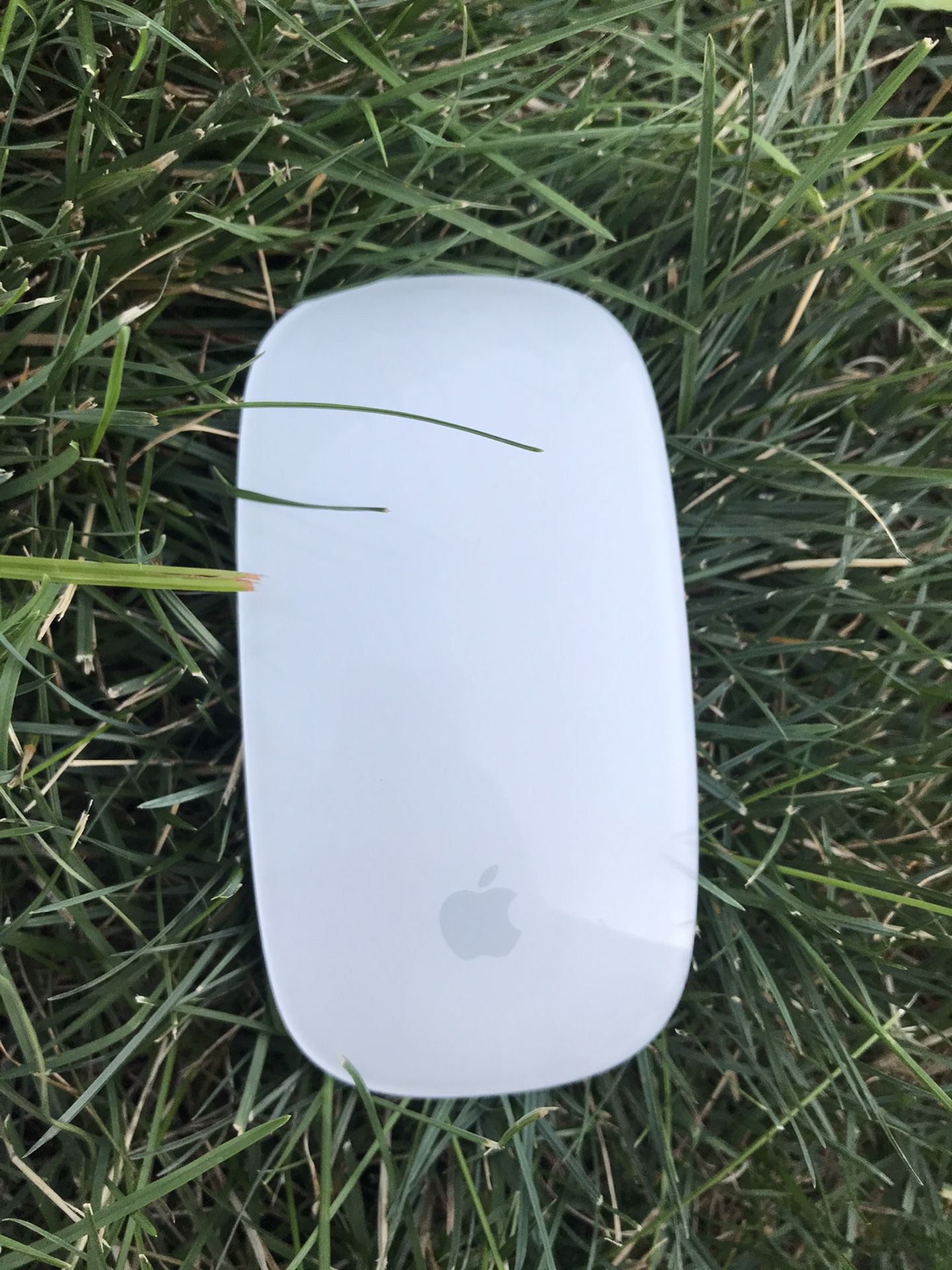 Apple Bluetooth Magic Mouse