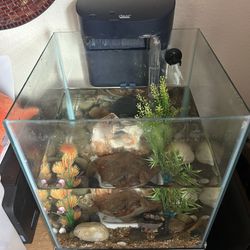 Square Aquarium w/ Accessories 