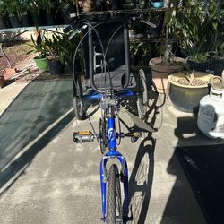 Adult Tricycle