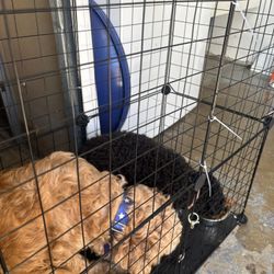 Cage For Pets 