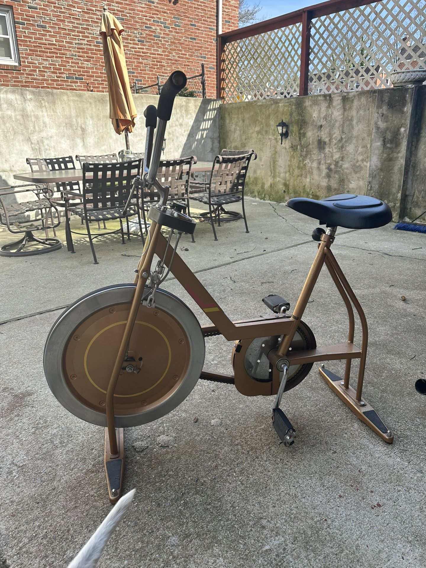Vintage Schwinn Exercise Bike